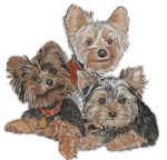 Yorkie Wooden Magnet Puppy Cut